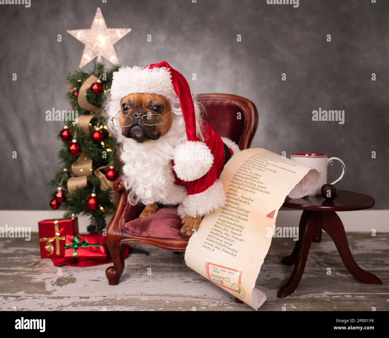Rote französische Bulldogge in weihnachtsmann-Anzug Sittingon-Sessel aus Samt neben dem weihnachtsbaum mit Namensliste auf dem Tisch mit Tasse. Stockfoto