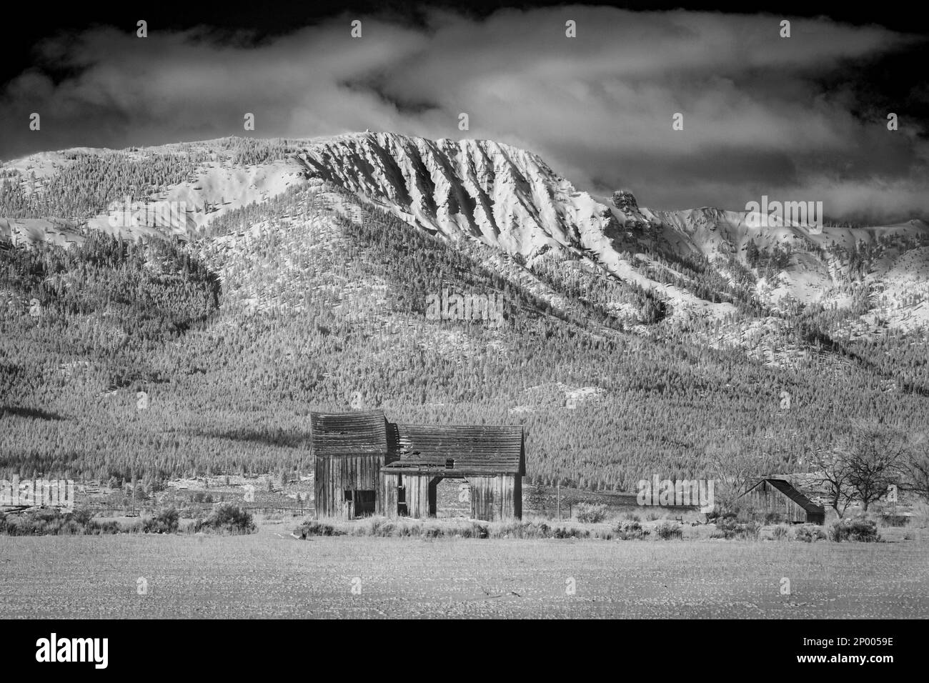 Alte Scheune und Thompson Peak im Lassen County California, USA Stockfoto