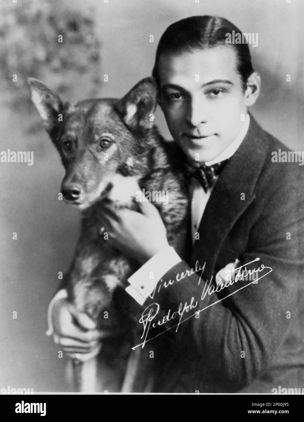 1921 Ca, USA : der Stummfilmdarsteller RUDOLPH VALENTINO ( geboren am Rodolfo Guglielmi , 1895 - 1926 ) mit seinem Hund Scheich zur Zeit DER VIER REITER DER APOKALYPSE ( i quattro cavalieri dell' Apocalisse ) von Rex Ingram , Aus der Romantik von Vincente Blasco Ibanez - CINEMA MUTO - RODOLFO - RUDY - attore cinematografico - LATEINAMERIKANISCHER LIEBHABER - italoamericano - italo americano - italo-americano - emigrante - italo-american - Portrait - Ritratto - Schmuck - Juwelen - gioiellcamicia - Camicia biielca - Camicia hemd - persionalità celebrità attore attori con animale animali domestico Stockfoto