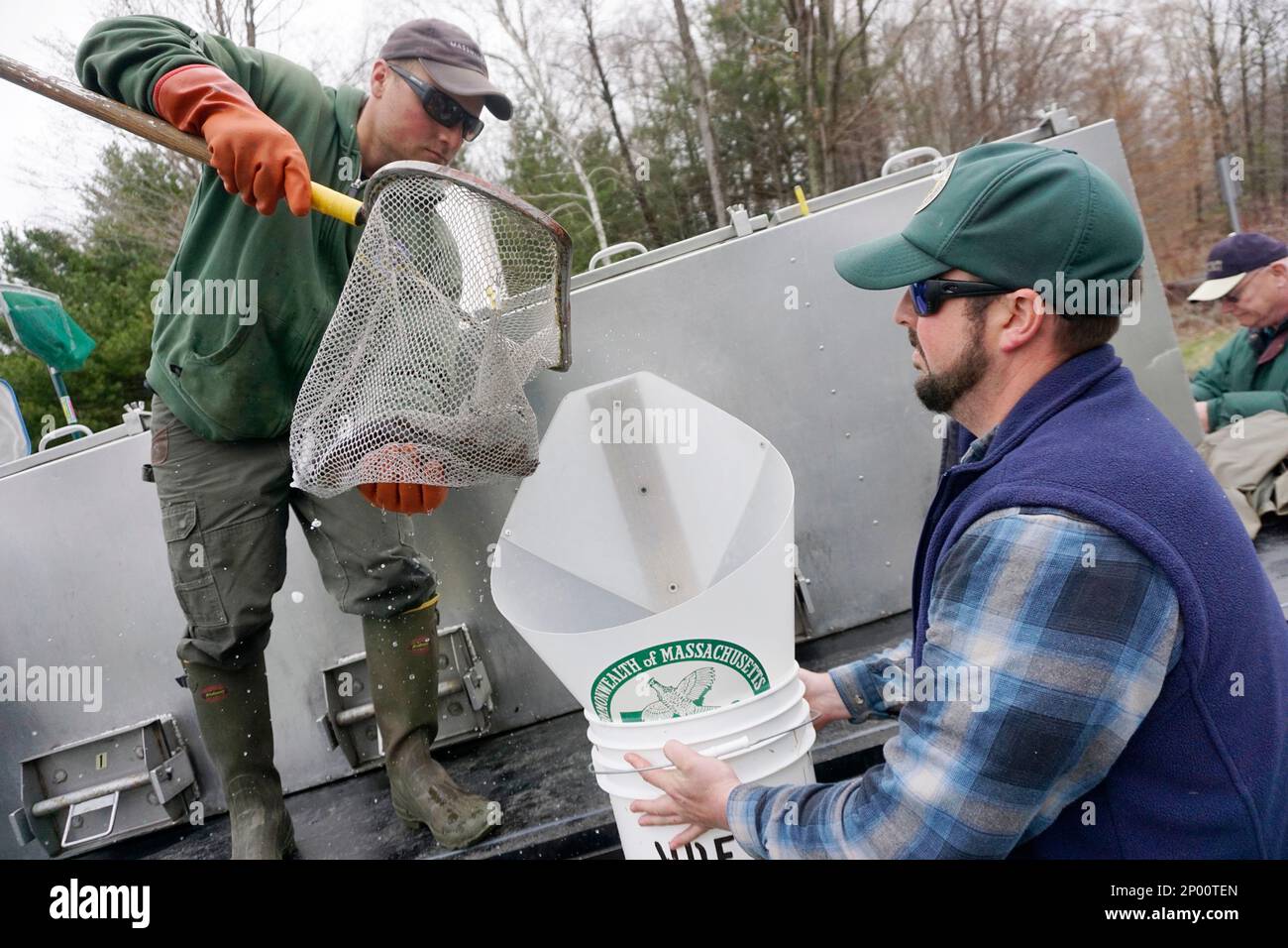 Derek McDermott and Ray Bresette of MassWildlife stock rainbow trout at Onota Lake in Pittsfield, Mass., Friday, April 21, 2017. About 350 trout from the McLaughlin Hatchery in Belchertown were released into the lake. (Ben Garver/The Berkshire Eagle via AP) Stockfoto