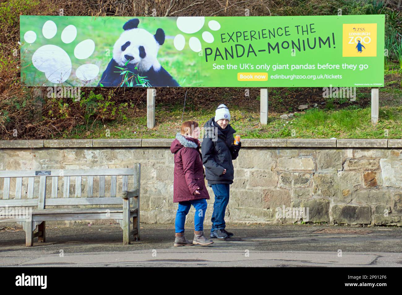 Edinburgh, Schottland, Vereinigtes Königreich 2. März 2023. UK Weather: Die Pandas sind im Anmarsch und die Menschen können sie jetzt frei sehen, ohne zu booking. Der zweite Frühlingstag sah Regen, als der Zoo und seine Tiere das Beste daraus machten. Credit Gerard Ferry/Alamy Live News Stockfoto