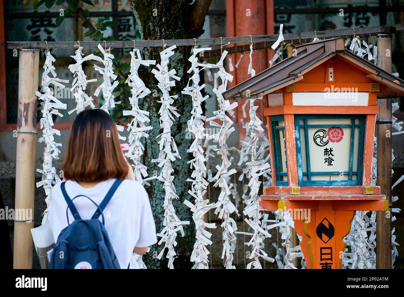 Frau steht vor Omikuji (Fortune Papers) am Yasaka-Schrein, Kyoto, Japan Stockfoto