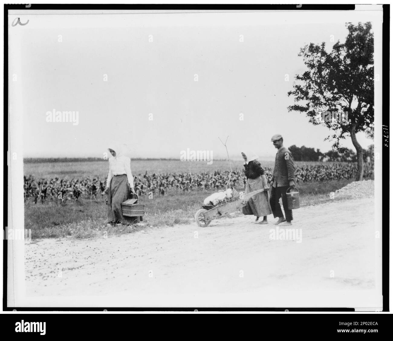 Mann und zwei Frauen, zu Fuß zum Markt, mit Produkten, Ungarn. Frank and Frances Carpenter Collection, Walking, Ungarn, 1920-1930. Stockfoto