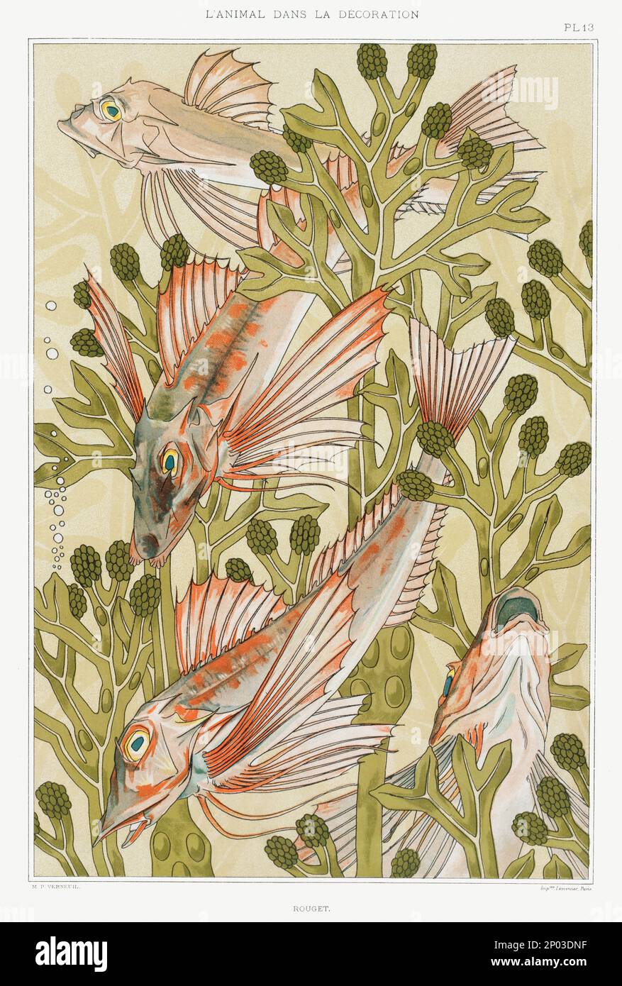 Fishes / Illustration aus L'animal dans la decoration (1897) von Maurice Pillard Verneuil. Stockfoto