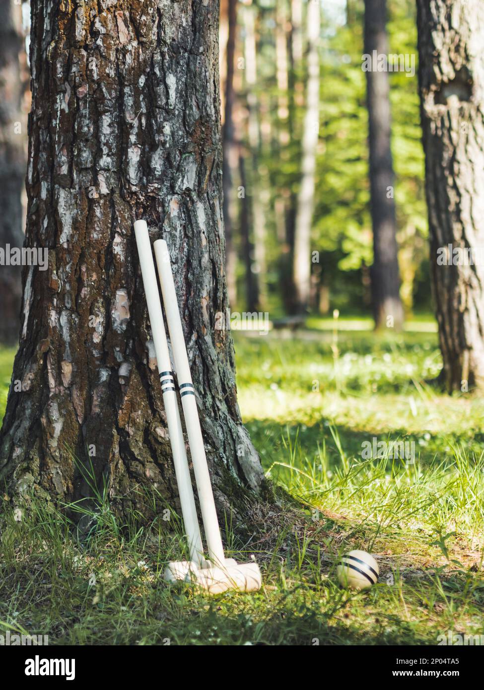 Sportausrüstung für Krocket. Traditionelles englisches Spiel unter freiem Himmel. Sportwerkzeuge – Hammer und Ball – auf Rasen. Sommerfreizeitaktivitäten. Stockfoto