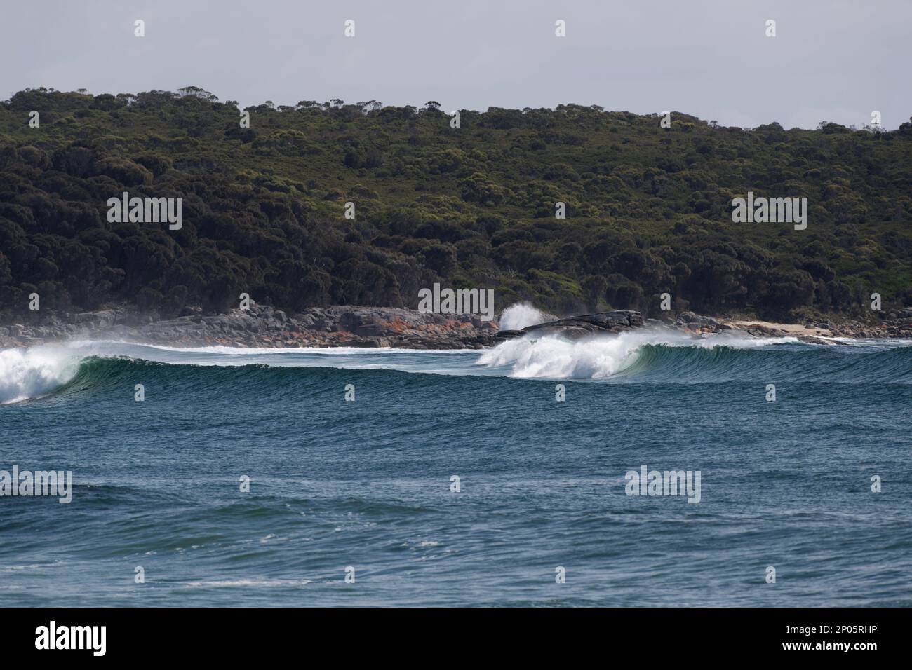 Wellen Sie am Eingang zur Georges Bay in der Nähe von St. Helens vor Blanches Beach, perfekte Surfwellen schälen sich entlang der entfernten, von Bäumen gesäumten Küste an der Burns Bay Tasmania Stockfoto