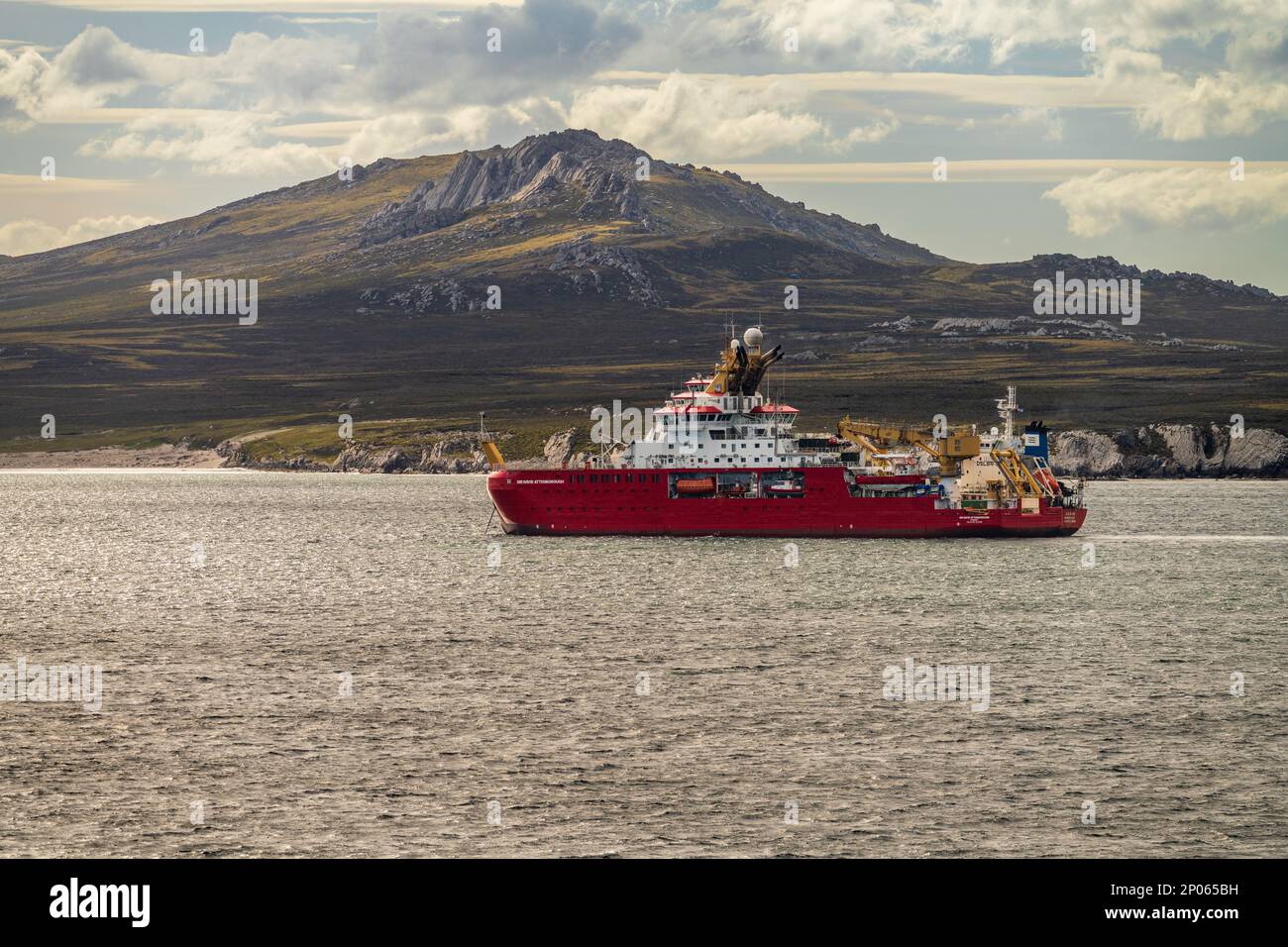 Port Stanley, Falklandinseln - 31. Januar 2023: RRS Sir David Attenborough fortgeschrittenes Polarforschungsschiff Stockfoto