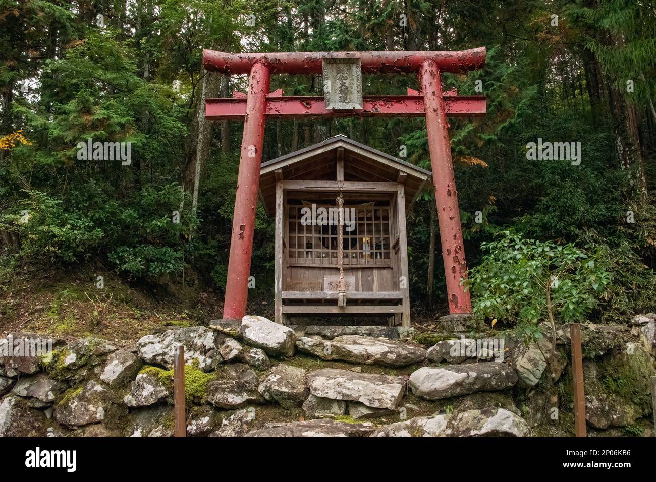 Kleiner Schrein mit Torii-Tor, Kamiichinomiya Oawa Shinto-Schrein, Kamiyama, Insel Shikoku, Japan Stockfoto