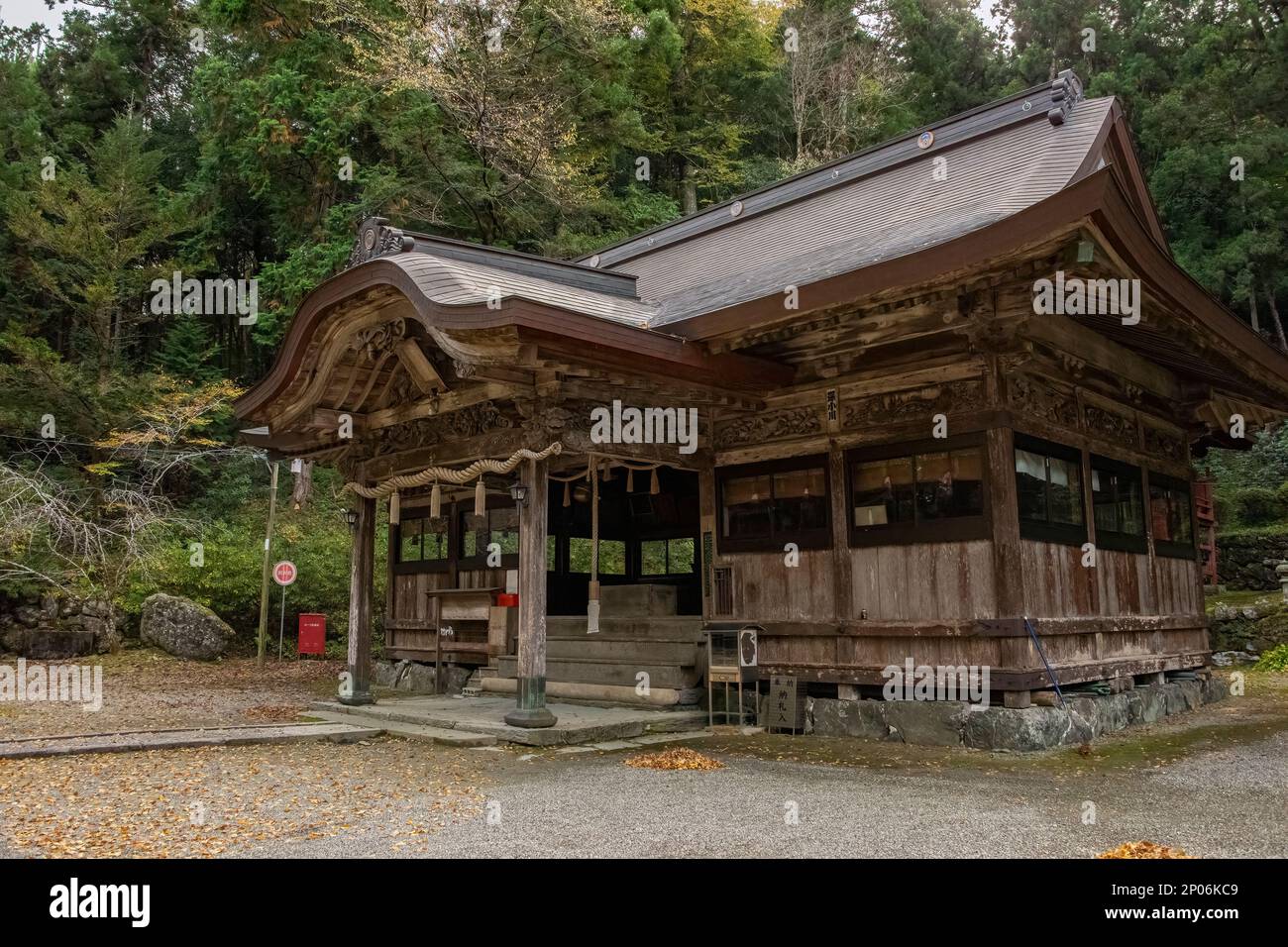 Kamiichinomiya Oawa Shinto-Schrein im Herbst, Kamiyama, Insel Shikoku, Japan Stockfoto