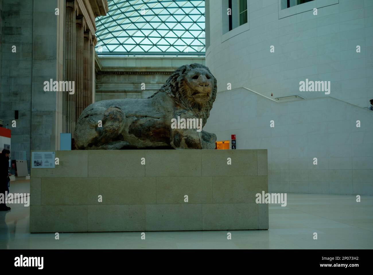 Löwenstatue im British Museum Stockfoto