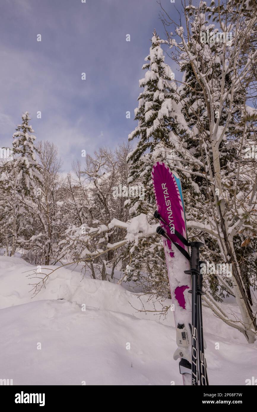 Skier im Sundance Resort, auch bekannt als Sundance Mountain Resort, ein Skigebiet, das 13 Meilen (21 km) nordöstlich von Provo, Utah, USA, liegt. Stockfoto