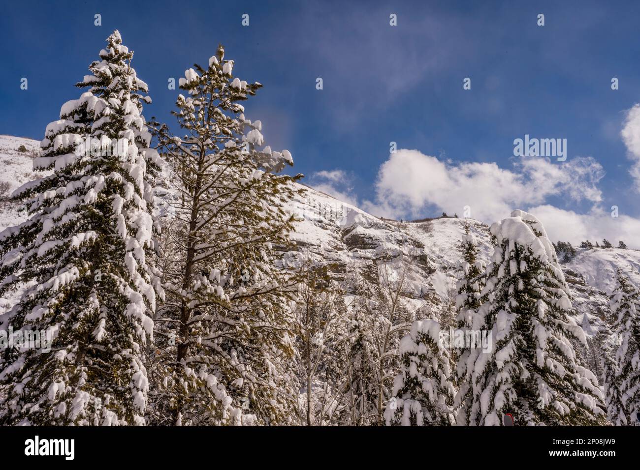 Blick auf die schneebedeckten Canyonwände im Sundance Resort, auch bekannt als Sundance Mountain Resort, ein Skigebiet, das 13 Meilen (21 km) nördlich liegt Stockfoto