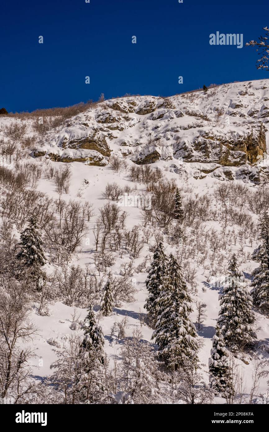Blick auf die schneebedeckten Canyonwände im Sundance Resort, auch bekannt als Sundance Mountain Resort, ein Skigebiet, das 13 Meilen (21 km) nördlich liegt Stockfoto