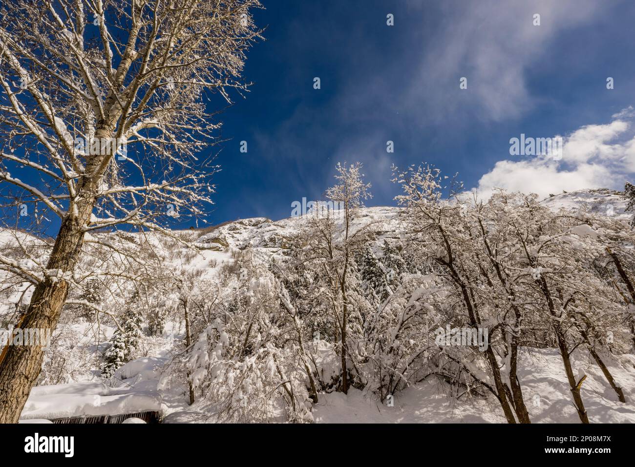 Blick auf die schneebedeckten Canyonwände im Sundance Resort, auch bekannt als Sundance Mountain Resort, ein Skigebiet, das 13 Meilen (21 km) nördlich liegt Stockfoto