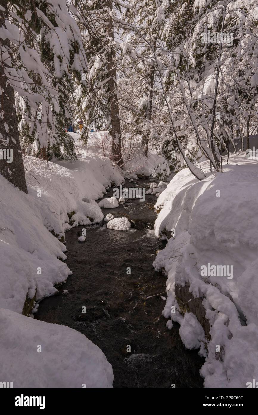 Winterscene mit einem Bach im Sundance Resort, auch bekannt als Sundance Mountain Resort, ein Skigebiet, das 13 Meilen (21 km) nordöstlich von Provo liegt Stockfoto