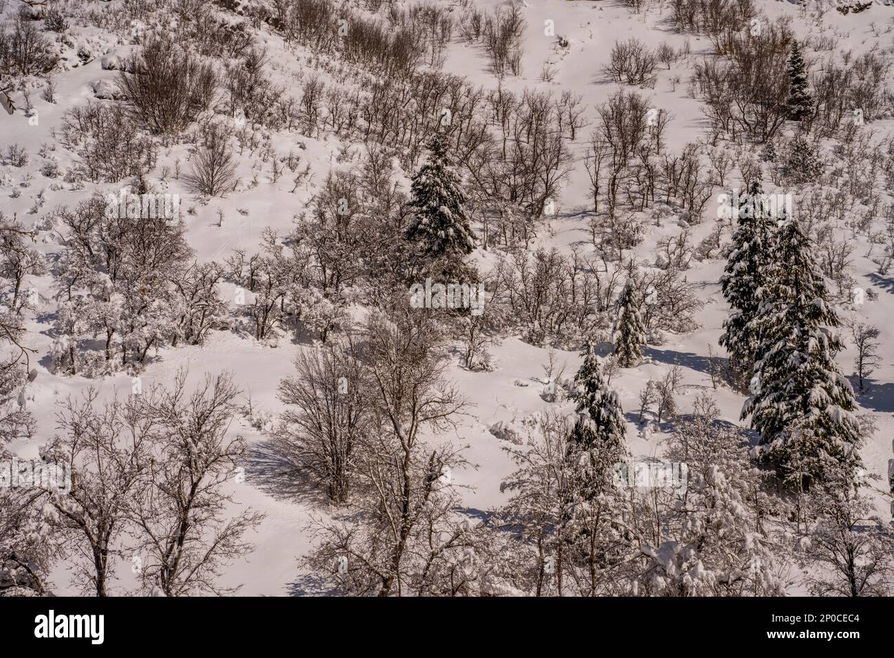 Blick auf die schneebedeckten Canyonwände im Sundance Resort, auch bekannt als Sundance Mountain Resort, ein Skigebiet, das 13 Meilen (21 km) nördlich liegt Stockfoto