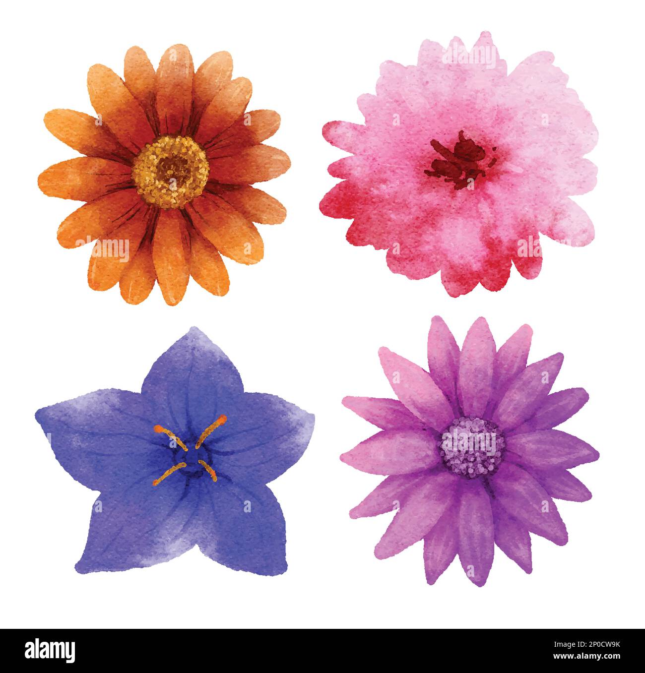 Blumen im Aquarellstil, isoliert auf weißem Hintergrund. Stock Vektor