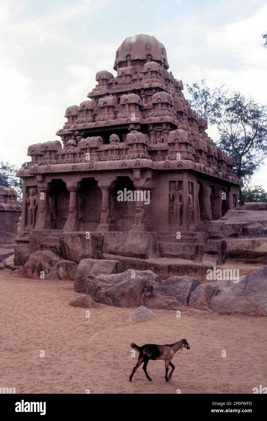 Monolithische Rathas, mamallapuram, tamilnadu (Mahabalipuram) Stockfoto