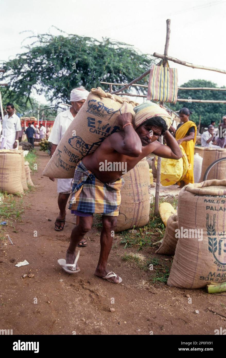Tagesarbeiter mit schwerem Gepäck auf der Wirbelsäule in Perundurai bei Erode, Tamil Nadu, Indien Stockfoto