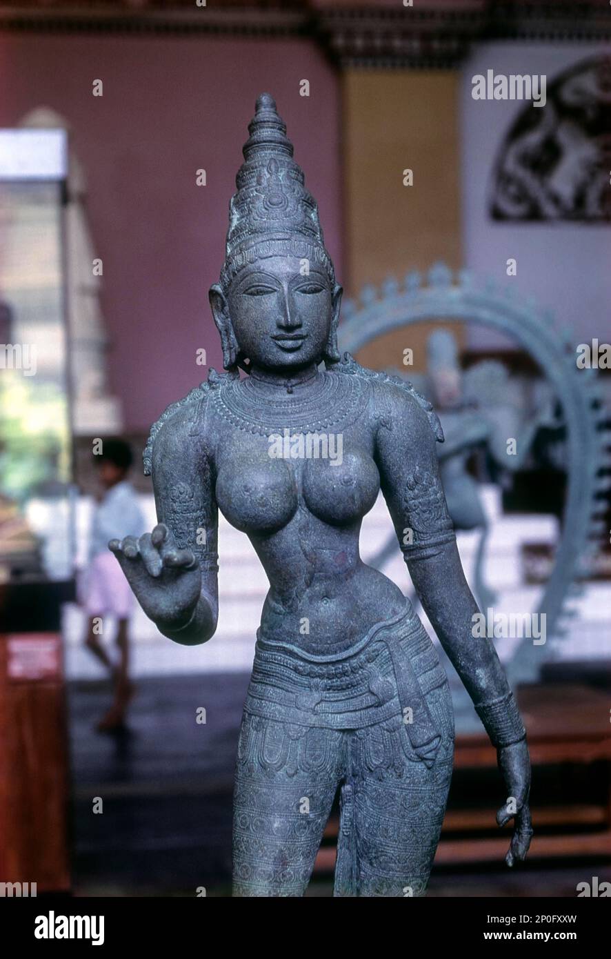 Bronzestatue von parvathi in der nayak darbar Hall, Kunstgalerie in Thanjavur, Tanjore, Tamil Nadu, Indien Stockfoto