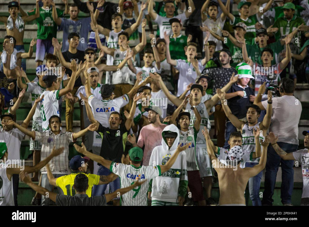 CHAPECO - SC - 01/12/2016 - Torcedores da chapecoense exaltam o grito de guerra do time nas arquibancadas da arena Conda em Chapeco , Foto: Suamy Beydoun/AGIF (via AP) Stockfoto