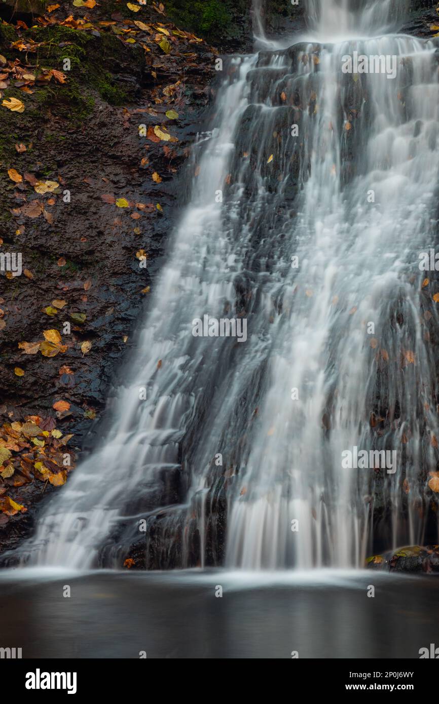 Ruhigen Wasserfall Landschaft mitten im Wald. Stockfoto