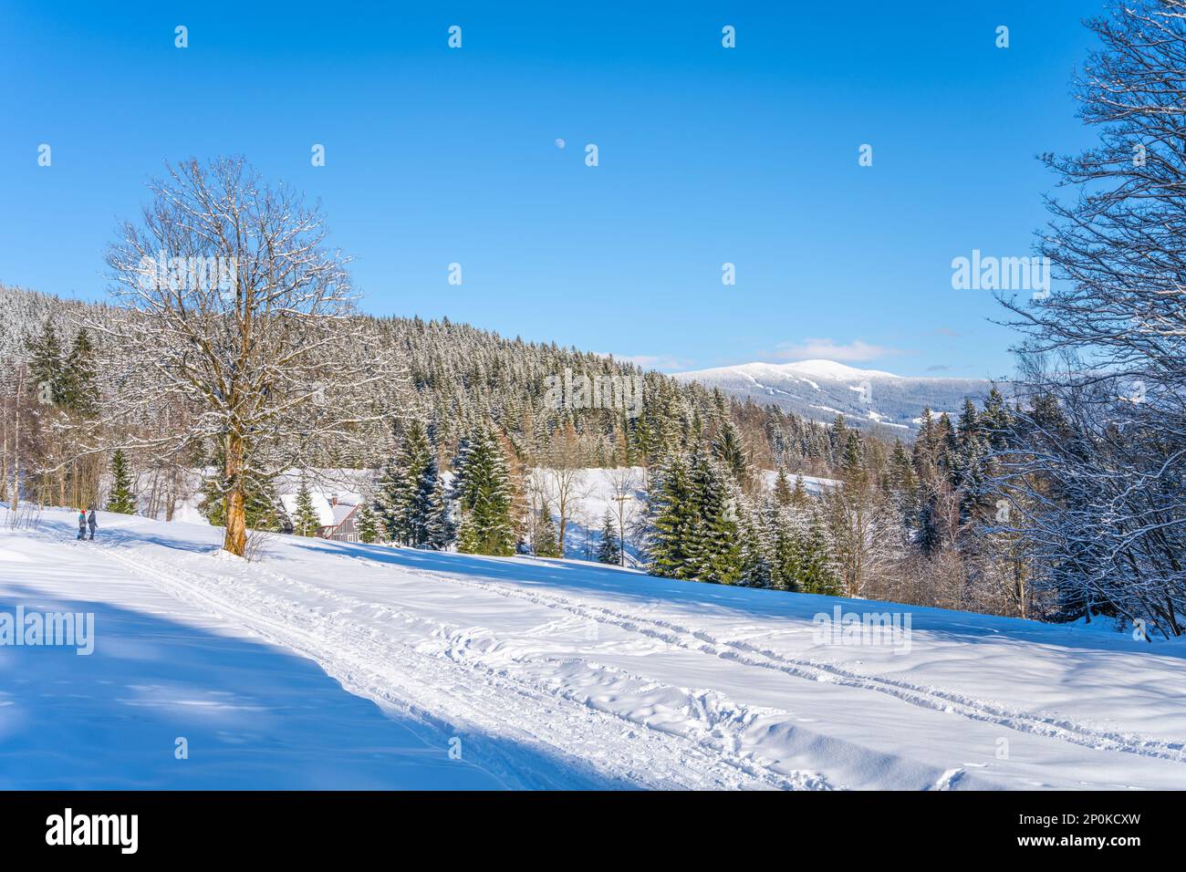 Malerische Winterlandschaft an sonnigen verschneiten Tagen. Hügelige Landschaft des Riesengebirges, Tschechisch: Riesengebirge, Tschechische Republik Stockfoto