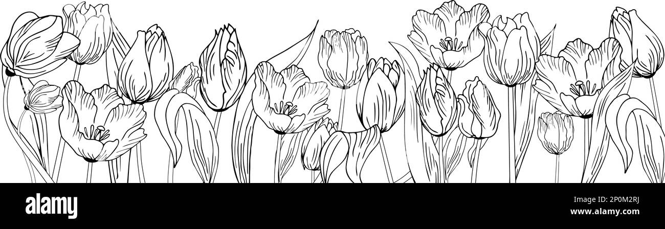 Blumiger Hintergrund mit Tulpen. Von Hand zeichnen Stock Vektor