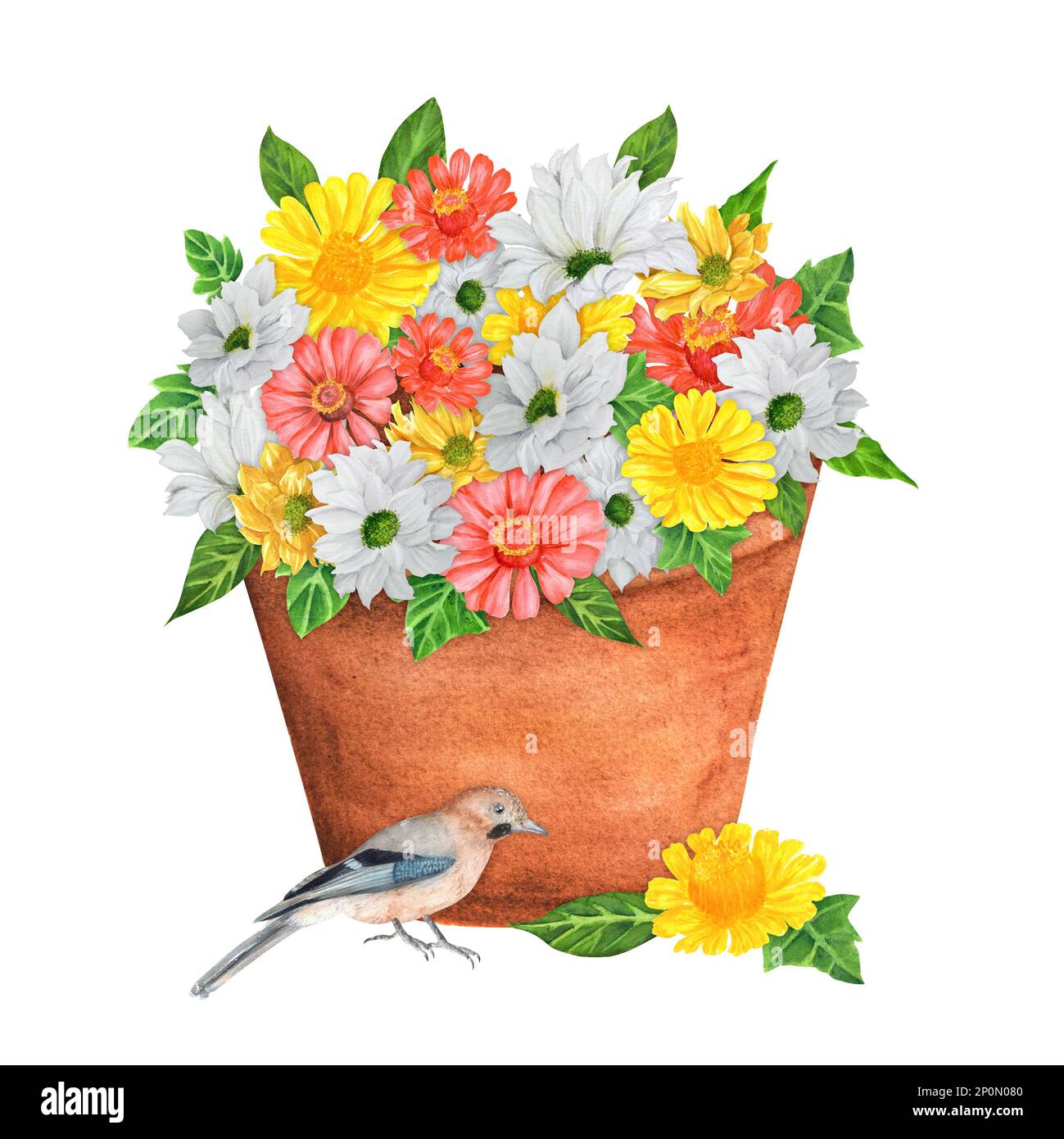 Handgezeichneter, wässriger Gartentopf mit Blumen und jay-Vogel. Ein kleiner Teil des großen VOGELGARTENS Stockfoto