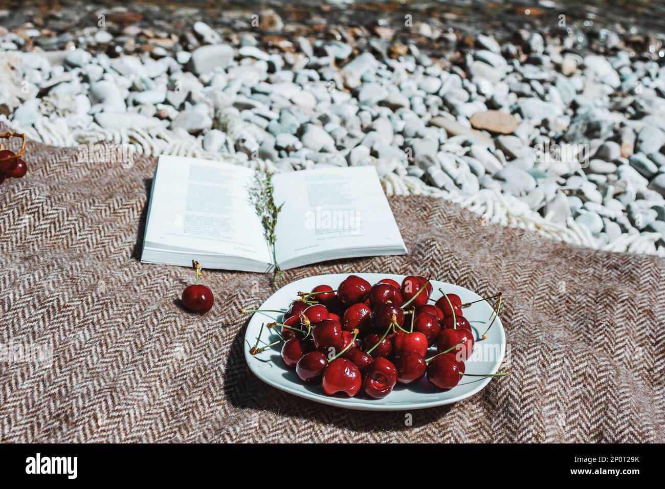 Buch auf karierten, frischen Kirschtellern. Sommer romantisches rustikales Picknick am Strand, Urlaub und Erholung Stockfoto