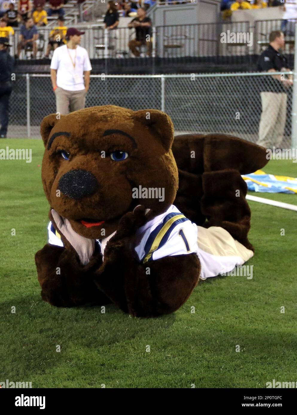 October 8, 2016: UCLA Bruins mascot Joe Bruin watches the action before the first half of the Pac-12 college football game against the Arizona State Sun Devils at Sun Devil Stadium in Tempe, Az. (Photo by Chris Coduto/Icon Sportswire) (Icon Sportswire via AP Images) Stockfoto