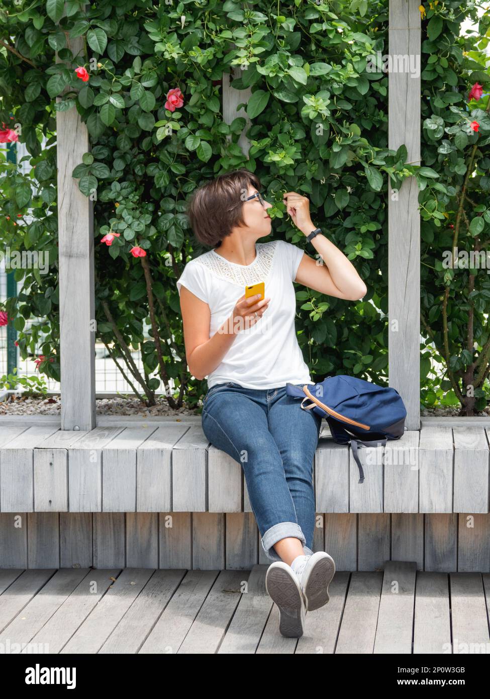 Die Frau schnüffelt Spalier-Rosen. Pretty Woman sitzt mit Smartphone auf einer Holzbank im öffentlichen Park. Sommerliche Stimmung. Stockfoto