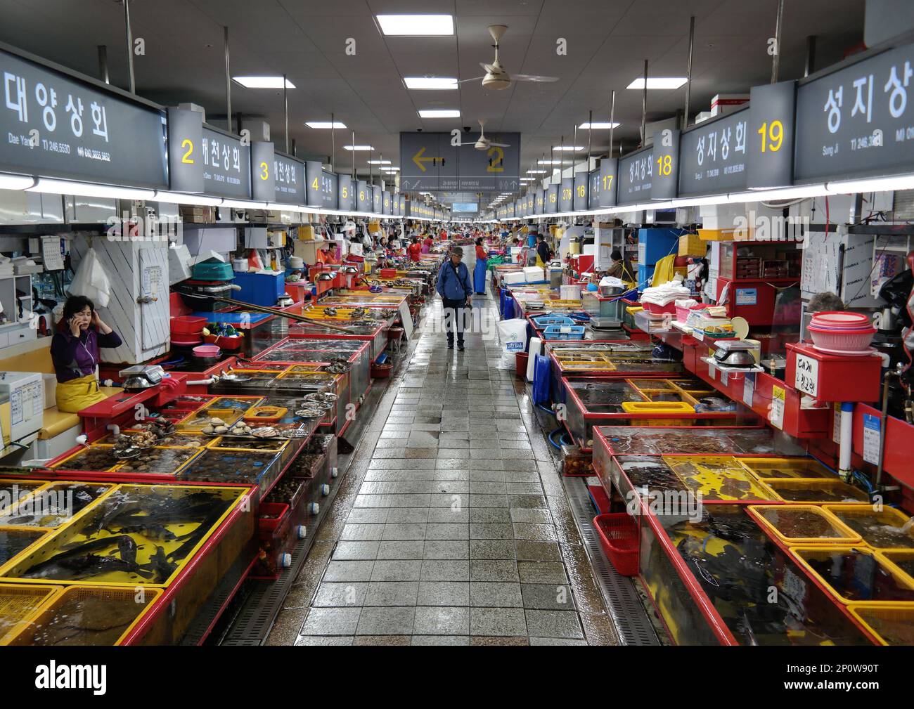 Busan, Südkorea - Mai 2019: Verkäufer, die Meeresfrüchte auf dem Jagalchi-Fischmarkt verkaufen Stockfoto