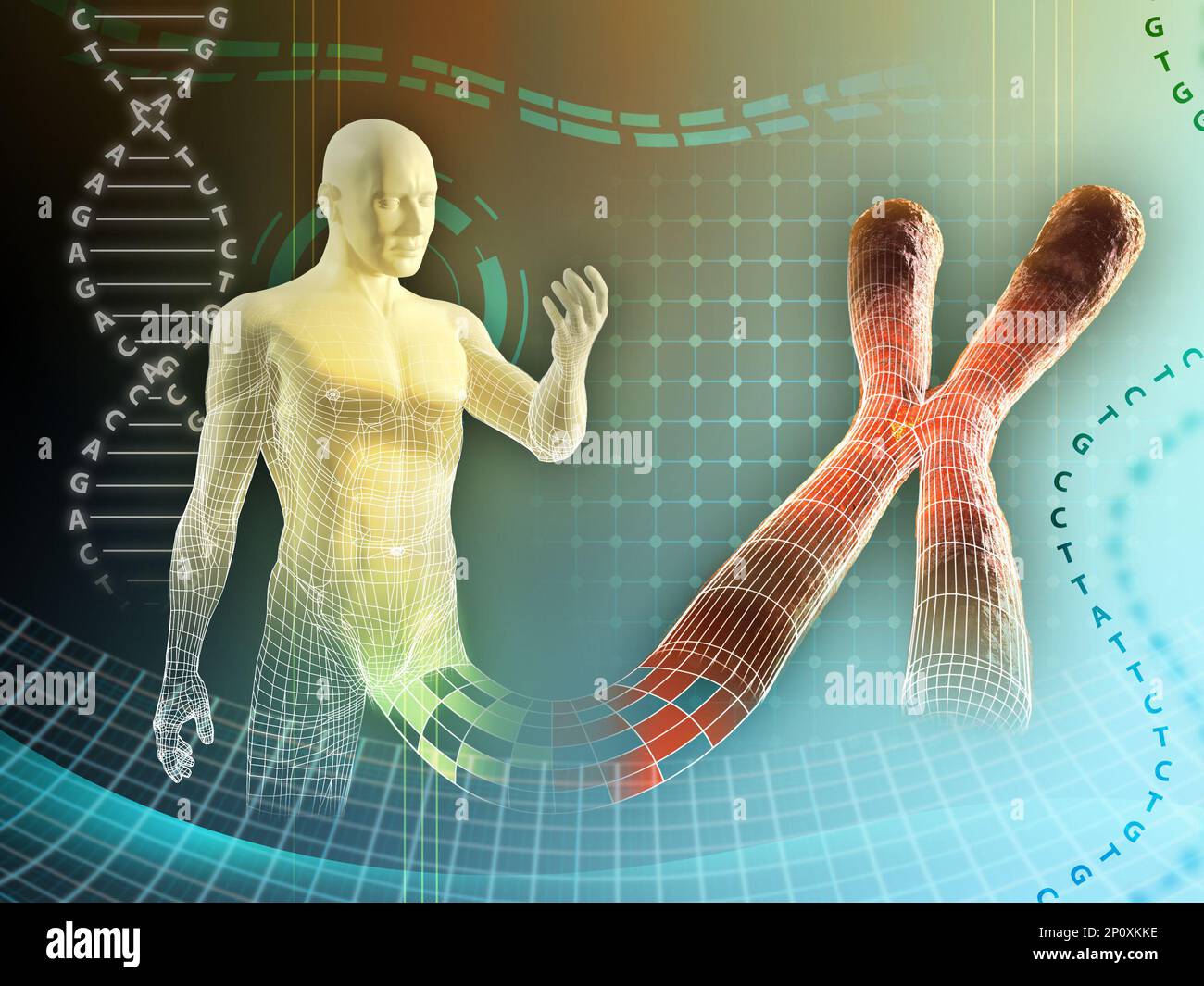 Männliche Figur, geschaffen durch ein menschliches Chromosom. Digitale Illustration. Stockfoto