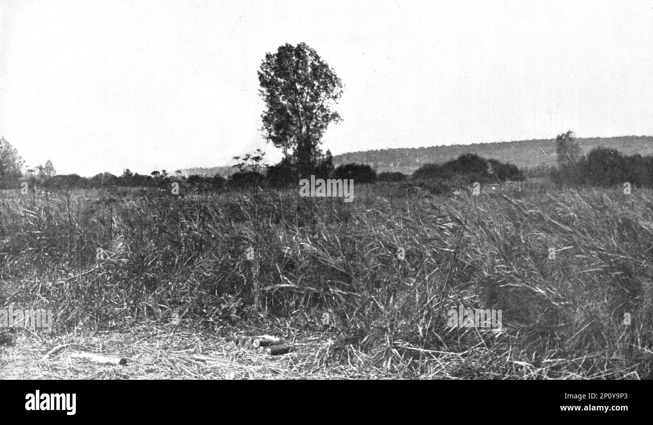 "L'immense Champ de Bataille; en reculant sous le feu ecrasant de l'artillerie de Foch, la Gardebprussienne etait poursuivie jusq'aux marais de Saint-Gond', 1914. Von „L'Album de la Guerre 1914-1919: Band I“. [L'Illustration, Paris, 1926]. Stockfoto