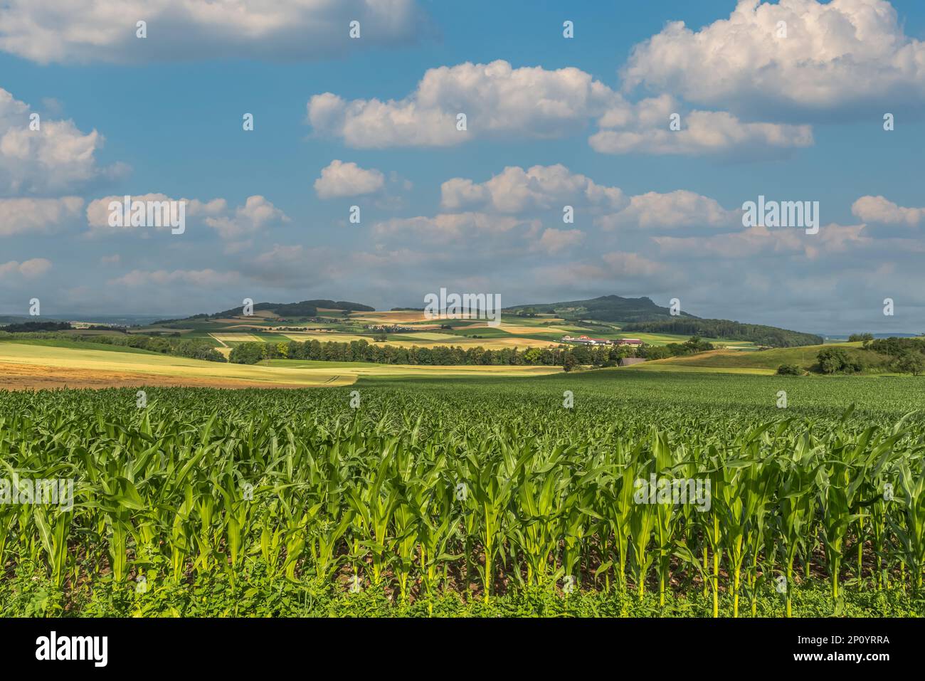 Hegaulandschaft mit Blick auf die Hohenstoffeln, Hilzingen, Bezirk Konstanz, Baden-Württemberg, Deutschland Stockfoto
