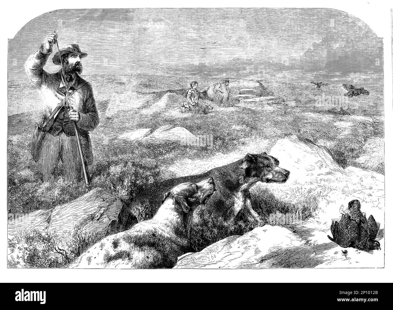 Grouse Shooting am 12. August, auch bekannt als „Glorious Twelfth“ des britischen Künstlers Harrison Weir (1824-1906) im Jahr 1860. Die Jagdsaison dauert vom 12. August bis zum 10. Dezember jedes Jahres. Viele rote Moorhühner werden getrieben, um mit Schrotflinten über Menschen zu fliegen. Die Moorhuhn-Schießerei erschien erstmals um 1850 und wurde in der späten viktorianischen Ära als modischer Sport für die Reichen beliebt. Stockfoto