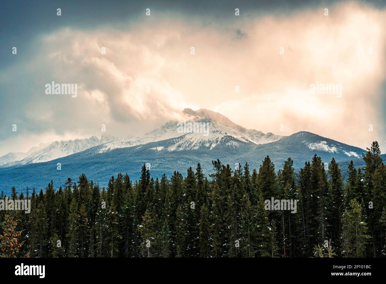 Rocky Mountains mit Sonnenlicht im Kiefernwald im Nationalpark Stockfoto