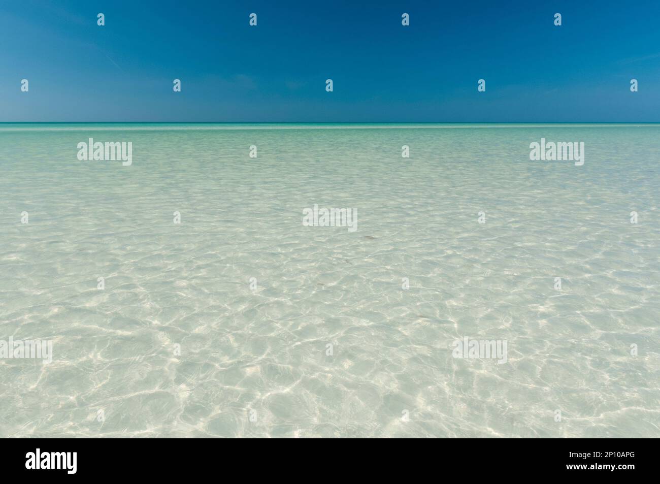 Panoramablick auf ein kristallklares Meer mit weißem Sand in der Karibik vor dem blauen Himmel, Mexiko Stockfoto