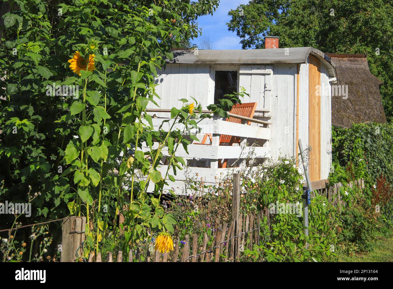 Bauwagen als Bungalow im Garten der Ferieninsel Rügen, Ostsee - Deutschland Stockfoto