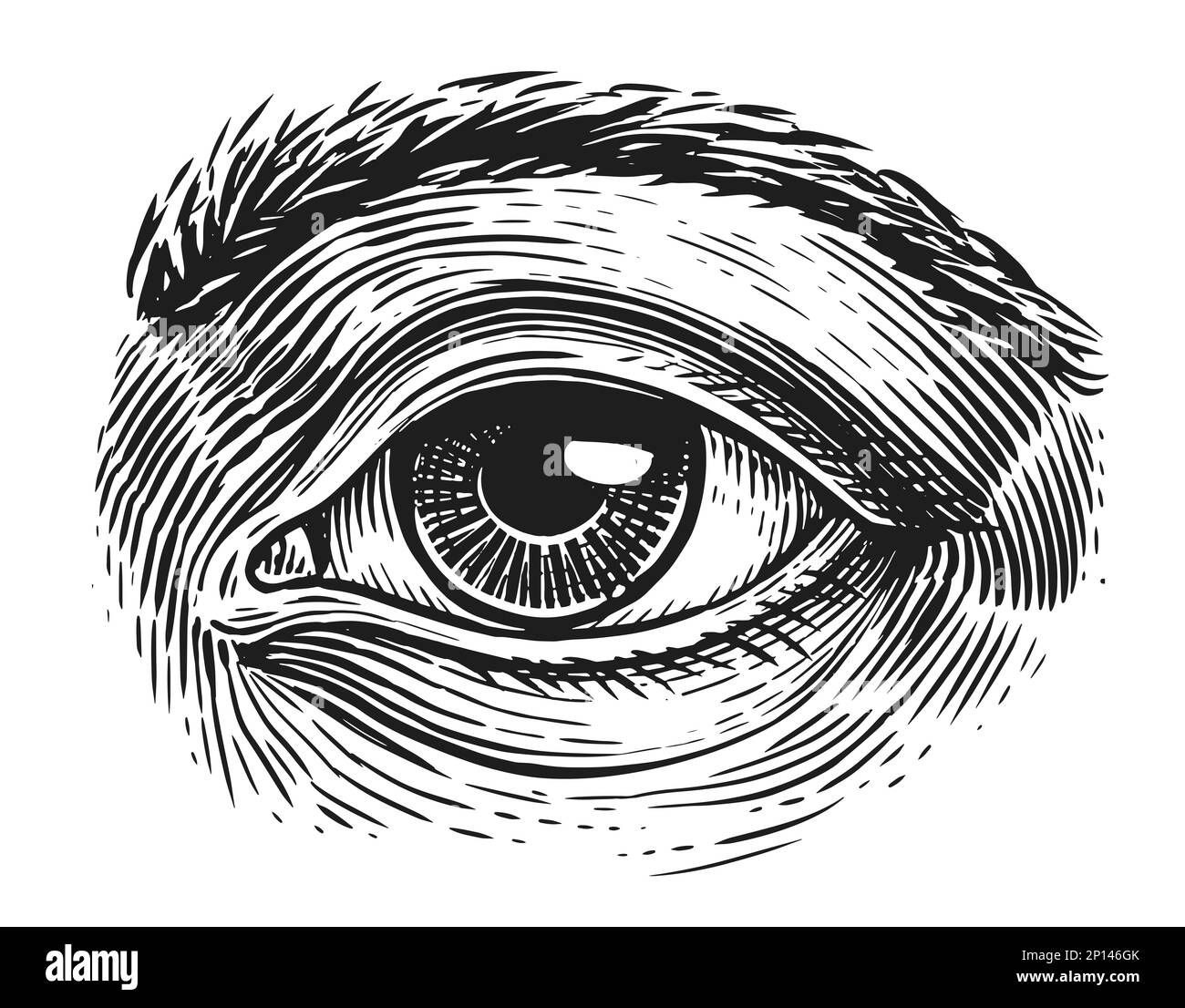 Menschliches Auge mit Gravur. Handgezeichnete Skizze Stockfoto