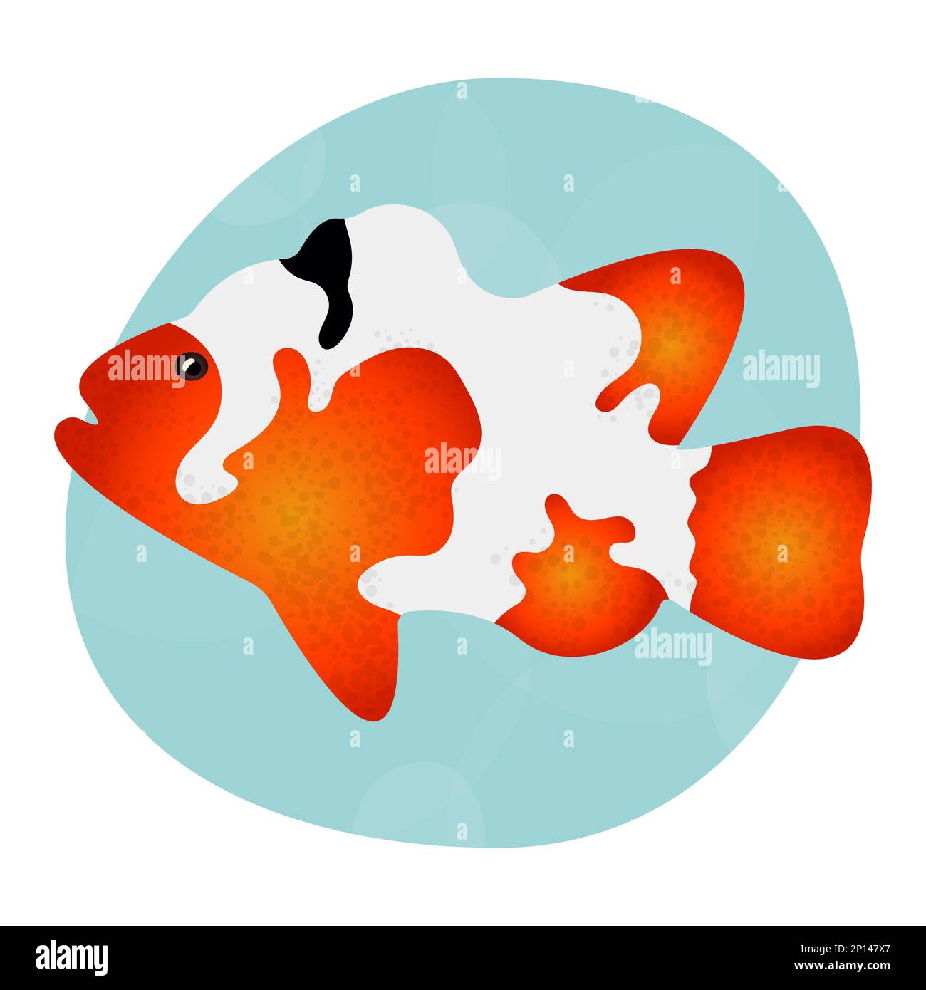 Wunderschöne und helle realistische tropische Fischkarpfen-Koi. Element für das Design von Schildern, Etiketten, Verpackungen. Cooles Muster für Kleidung, Tassen, Teller, Waren. Logo Stock Vektor