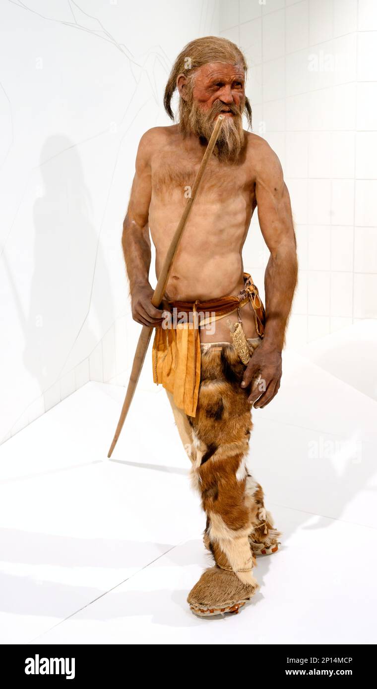 Rekonstruiertes Modell des Ötzi, des Iceman, im Südtiroler Archäologischen Museum (Museo Archeologico dell'Alto Adige), Bozen, Italien. Stockfoto