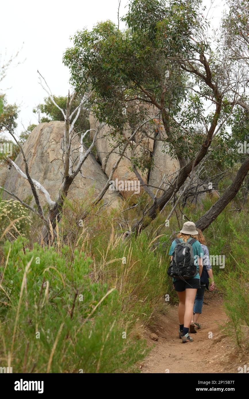 Zwei Wanderer in den You Yangs erreichen die Spitze des Weges, ausgestattet mit Ferngläsern und Rucksack für zusätzliche Kleidung und robuste Schuhe für den Aufstieg Stockfoto