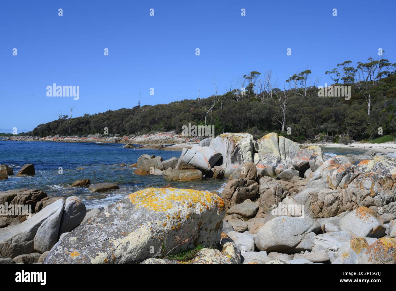 Unberührte Küste und Strände in der Nähe von Skeleton Bay, Binalong Tasmanien Stockfoto