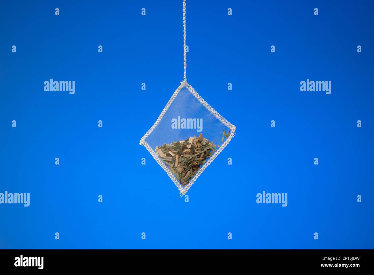 Transparenter quadratischer Teebeutel mit getrockneten Früchten und gemahlenen Blättern. Nahaufnahme im Studio, isoliert auf blauem Hintergrund, keine Menschen. Stockfoto