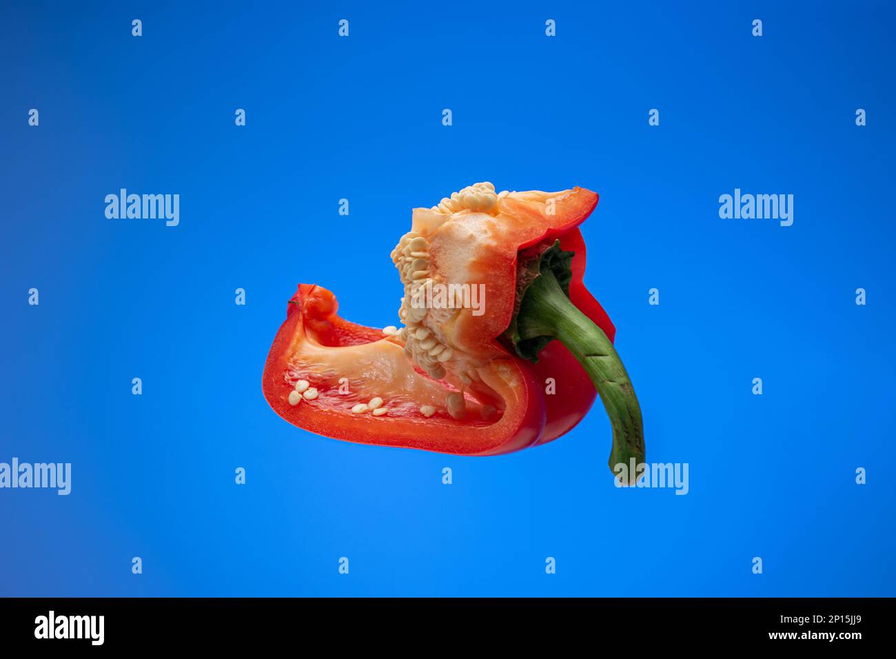 Frisch gereifter halbierter roter Pfeffer. Nahaufnahme des Studios, isoliert auf blauem Hintergrund. Stockfoto
