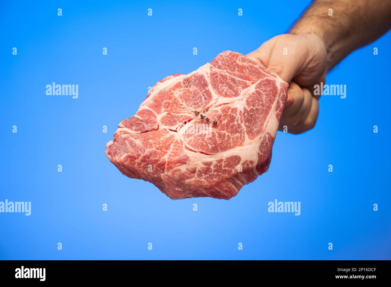 Ein Stück frisches rohes Marmorsteak auf einer Gabel, die im Handstudio gehalten wird, Nahaufnahme isoliert auf blauem Hintergrund. Stockfoto