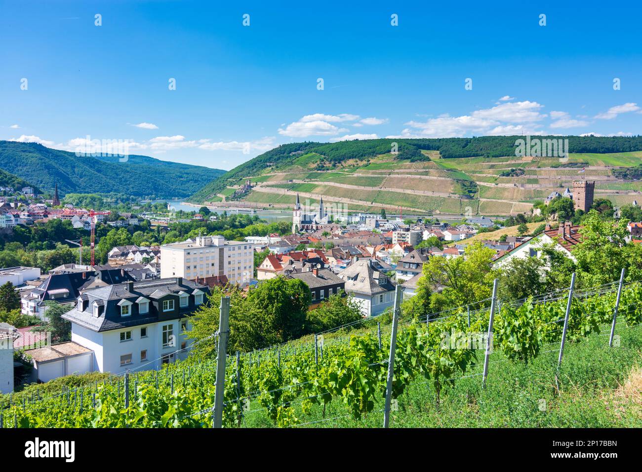 Bingen am Rhein: kirche Basilika St. Martin, Rhein (Rhein), Mäuseturm (Mausturm) und Ehrenfels Castle, Burg Klopp Castle, Weinberg in Rhei Stockfoto