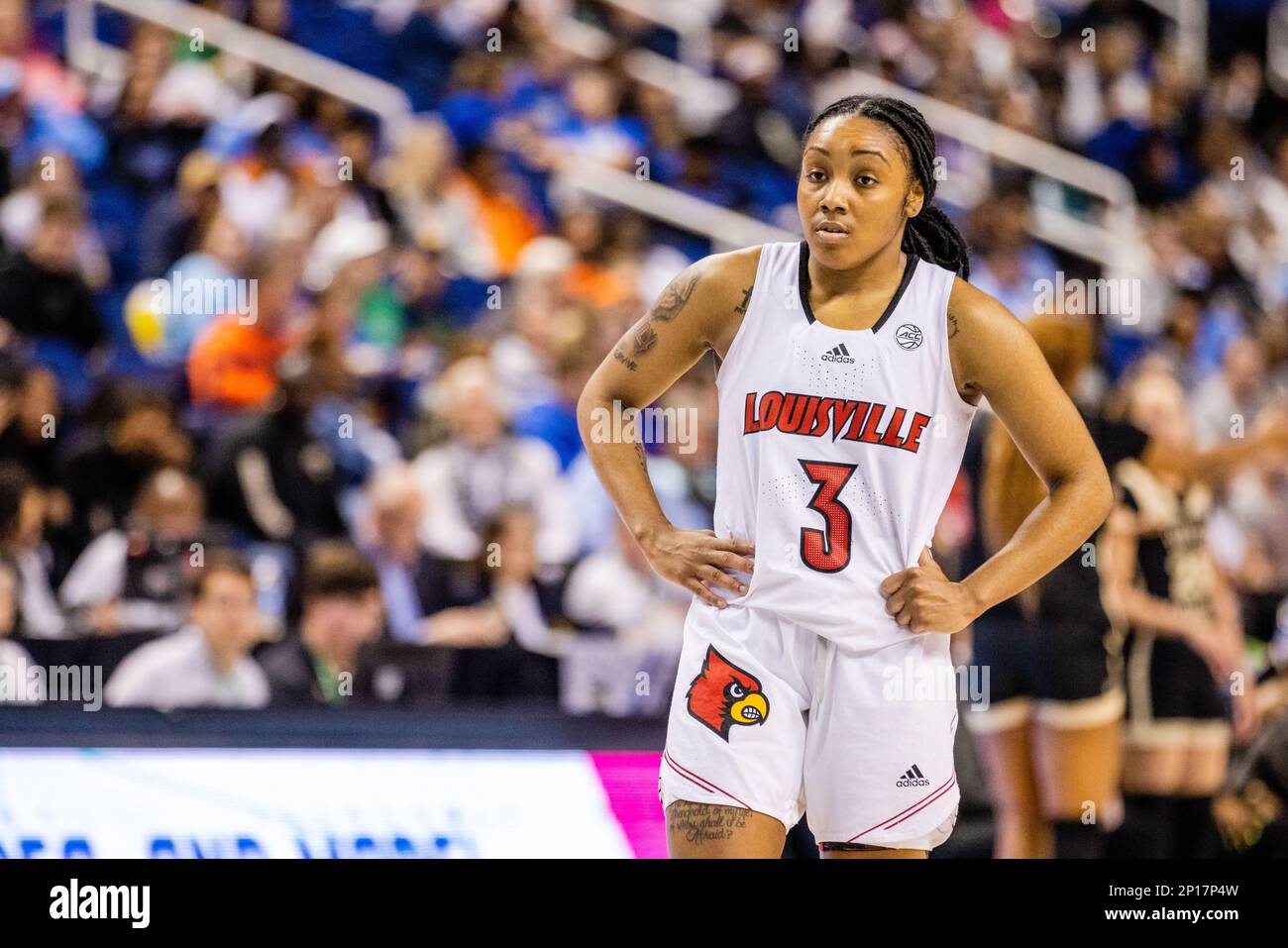 Greensboro, NC, USA. 3. März 2023. Louisville Cardinals bewachen Chrislyn Carr (3) während des Viertelfinals des Women's ACC Tournament gegen die Wake Forest Demon Deacons im Greensboro Coliseum in Greensboro, NC. (Scott Kinser/Cal Sport Media). Kredit: csm/Alamy Live News Stockfoto